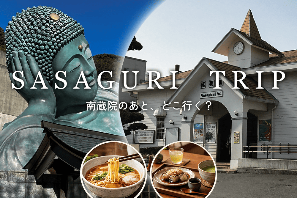 南蔵院のあとどこ行く？