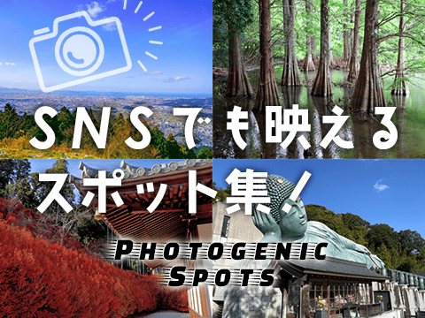 写真映えスポット