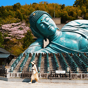 南蔵院
