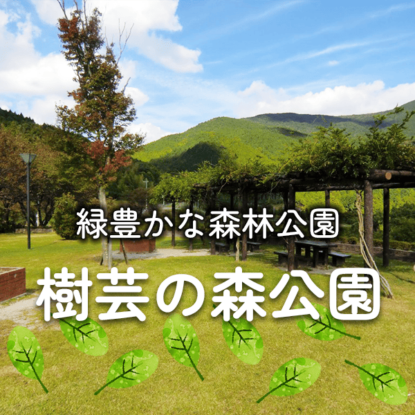 樹芸の森公園